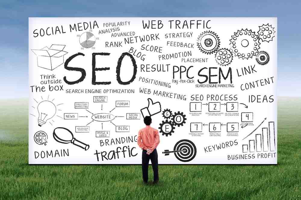 How do I get an SEO specialist?